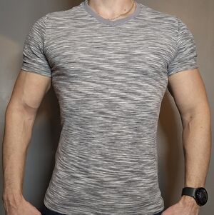 Express Gray Stretch V-Neck Tee